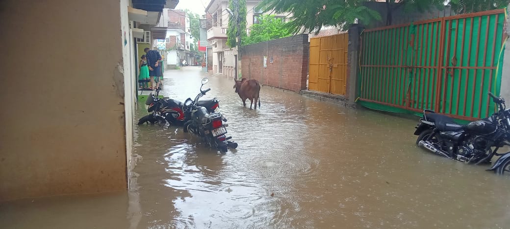 6.बुंदेला कॉलोनी।